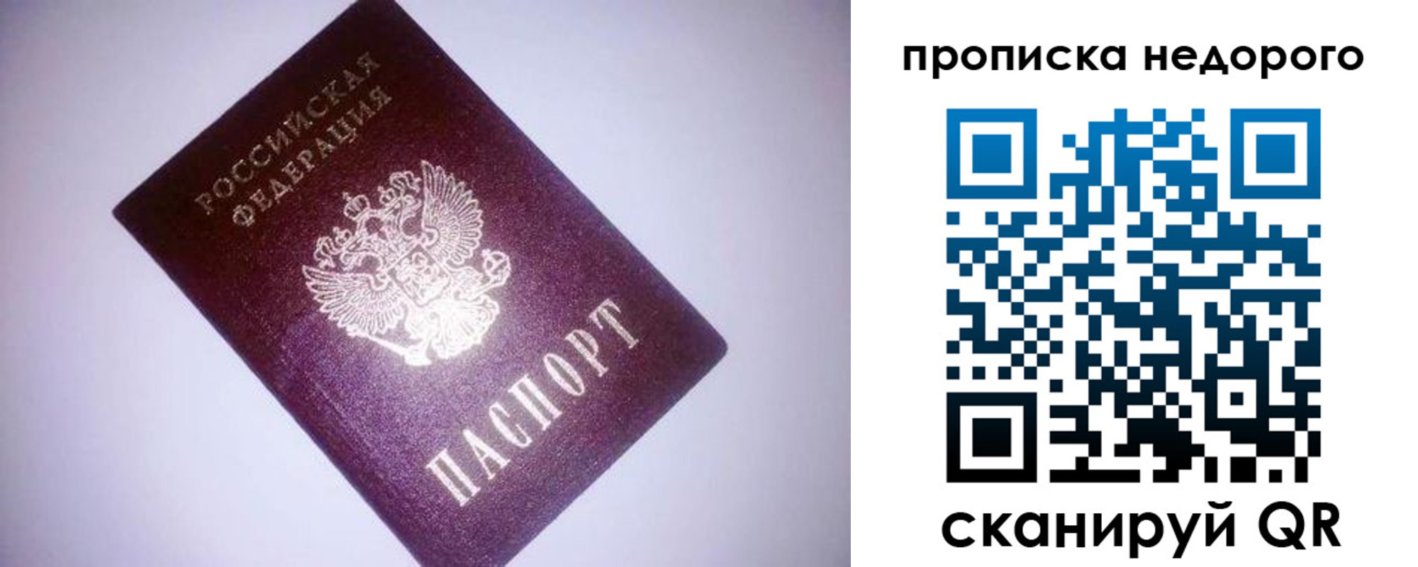 прописка для школы в Юрьев-Польском